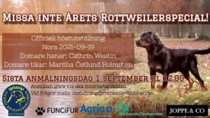 Rottweiler_Specialen_i_Nora